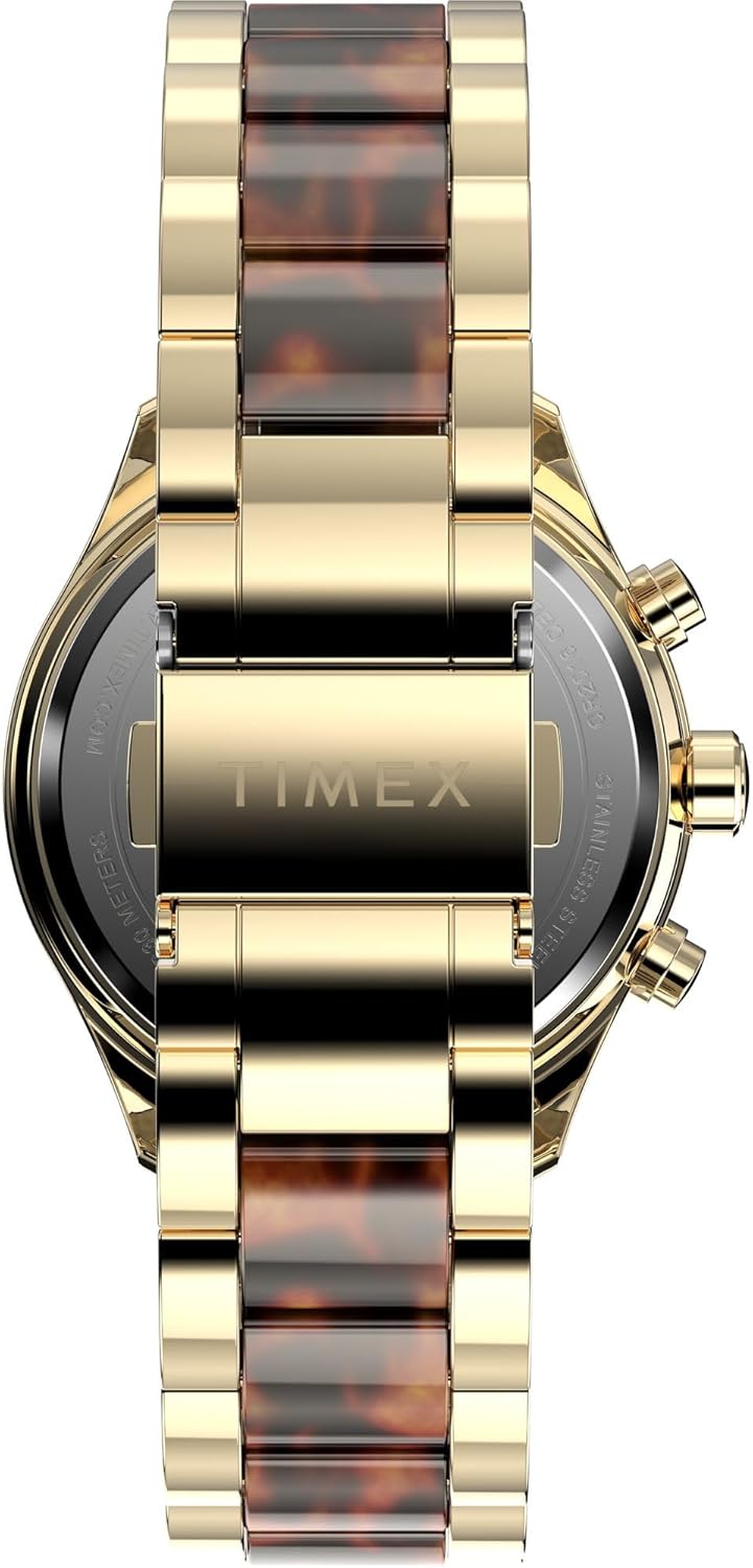 決算創業セール エンセファラルトス ホリダス var ステイラービル 最強分頭